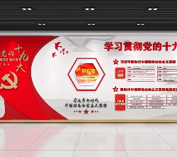 学习贯彻党的十九大精神